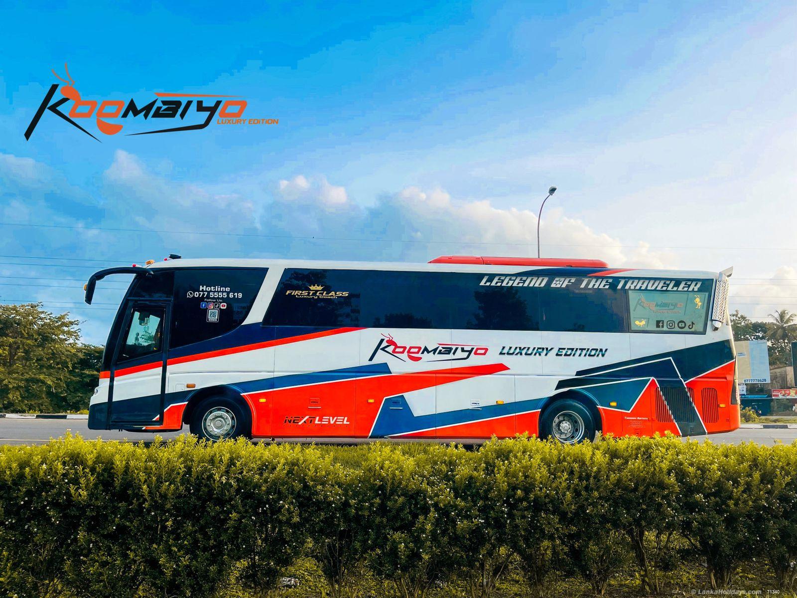 any Bus/Coach